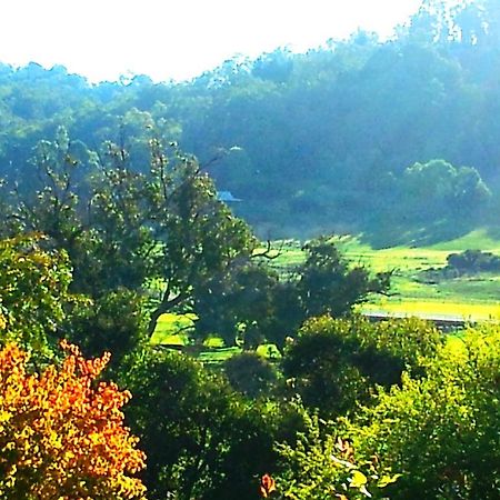Brookvale House Balingup Guest House ภายนอก รูปภาพ