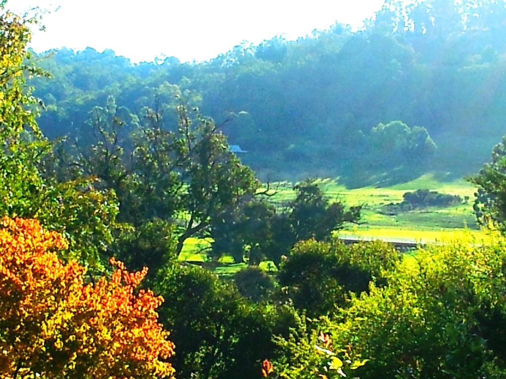 Brookvale House Balingup Guest House ภายนอก รูปภาพ